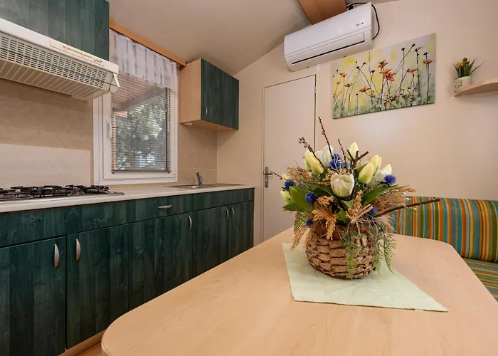 Campingplads Camp Mrkva Mobile Homes With Pool *